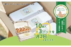【定期便24回】国産飼料の平飼い有精卵「名尾のたまご」30個入：C291-002