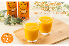 チルスムージー  ミチルン  330ml×12本：B110-050