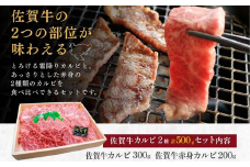佐賀牛 カルビ 2種 焼肉用 500g 牛肉 黒毛和牛 赤身 カット済 バーベキュー 九州 佐賀県 佐賀市 佐賀丸美屋 焼肉屋：B320-013