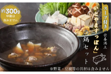 【スープ付き】栄養満点「いとやますっぽん」の鍋セット 300g 佐賀県産 スッポン 冷凍 鍋 カット済み 国産 簡単調理 美容 健康 コラーゲン 九州 佐賀県 佐賀市 ヤマト水産：B240-022