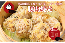 【肉を食べる幸せ】職人が包む、ぎゅっと肉感・台湾焼売｜小籠包茶樓 龍哉特製（1箱6個入り） シュウマイ 焼売 手包み 冷凍食品 簡単調理 レンジ 加工食品 本場の味 小籠包茶樓 龍哉 佐賀市 ：A075-003