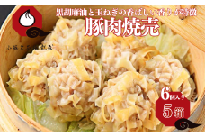 【肉を食べる幸せ】職人が包む、ぎゅっと肉感・台湾焼売｜小籠包茶樓 龍哉特製（5箱30個入り） シュウマイ 焼売 手包み 冷凍食品 簡単調理 レンジ 加工食品 小分け 本場の味 小籠包茶樓 龍哉 佐賀市 ：B205-012