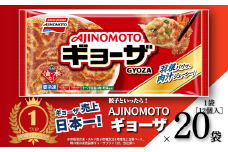 AJINOMOTOギョーザ 20袋 ぎょうざ 240個 味の素 冷凍食品 餃子 簡単調理 加工食品 惣菜 冷凍 佐賀市：B240-024