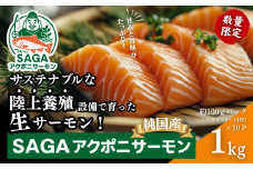 佐賀から未来へ！SAGAアクポニサーモン 1kg 100g×10P カット済 刺身 サーモン トラウトサーモン 国産 生食 陸上養殖 高品質 佐賀市産 海鮮 魚介 魚 冷凍 小分け 解凍するだけ 海鮮丼 カルパッチョ 寿司 鮭 佐賀県 佐賀市 ：B400-007