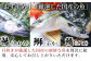 目利きが厳選した国産の新鮮な魚を贅沢に使用。
安心してお召し上がり頂けます。