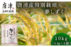 米の食味ランキング3年連続「特A」評価！ 唐津産特別栽培 夢しずく 10kg コメ 精米 お米 ごはん 白米 おにぎり