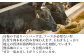 ふっくらジューシー♪ 佐賀牛の旨みたっぷり。 玉ねぎも
地元の唐津鎮西町産を使用。
甘くてお肉の味を引き立ててくれます。