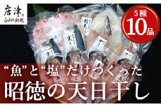 昭徳の天日干し 1枚60g~180g全10枚でお届けします 真あじ開き60g×4枚 真さば片身90g×2枚 かます開き80g×2枚 連子鯛開き180g×1枚 剣先いか開き70g×1枚 おかず ギフト