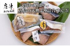 五島の天然ぶり詰合せ 1枚90g 全7枚でお届けします ぶりひと塩90g×2切 ぶり無塩90g×2切 ぶり吟醸味噌粕漬90g×2切 ぶりみりん醤油漬×1切 おかず ギフト