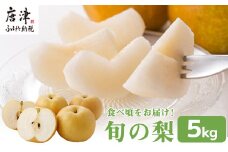 『先行予約』今が食べ頃 特栽 旬の梨5kg【令和7年の夏ごろの発送】和梨 幸水 豊水 新高 あきづき 愛宕 果物 フルーツ くだもの