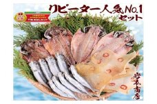 グルメ大賞受賞【無添加・無着色】旬の人気 干物 リピーターNo．1人気セット 旬あじ開き(淡塩造り) 旬アジ醤油みりん干し 国内加工 エイヒレ イワシ丸干し ひもの 干物