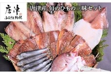 グルメ大賞受賞 唐津産 旬のひもの三昧セット 唐津産 旬サバ 旬アジみりん 金時鯛一夜干し(旬の白身魚干物)呼子 イカ一夜干し 大分産真イワシ丸干し トロあじ開き 6種17尾 干物セット 干物