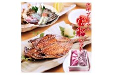 唐津産干物セット 宝船セット 旬サバ淡塩造り 旬アジ開き 旬アジみりん 金時鯛一夜干し(旬の白身魚干物) 佐賀 呼子イカ イカ一夜干し 唐津産ちりめん 唐津加工無着色明太子 イカしゅうまい 産地直送 ひもの 干物