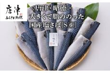 大きくて脂ののった国産塩さば 150g×10枚(合計1.5kg) おかず ギフト
