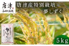 米の食味ランキング3年連続「特A」評価！ 唐津産特別栽培 夢しずく 5kg コメ 精米 お米 ごはん 白米 おにぎり