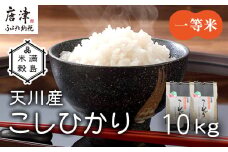 『先行予約』【令和6年産】特別栽培米 【一等米】 唐津市天川産 こしひかり 5kg×2 (合計10kg) 減肥減農薬で育てた特別栽培米をお届け たんぱく質が少なく食味が良いお米