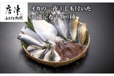 (唐津産) イカの一夜干しも付いた干物6種 やりいか一夜干し アジ開き いわしみりん アジミリン さばみりん干し 塩サバ (合計12枚) おかず おつまみ ギフト