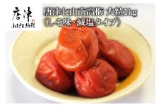 唐津七山 南高梅大粒減塩しそ味 500g×2(合計1kg)「irodoriからつ四季の返礼品」山間から湧き出る澄んだ水をふんだんに含んだ土壌で栽培