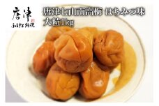 唐津七山 南高梅大粒はちみつ味 500g×2(合計1kg)「 irodoriからつ 四季の返礼品」山間から湧き出る澄んだ水をふんだんに含んだ土壌で栽培