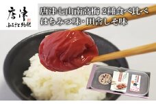 唐津七山 南高梅2種食べ比べ 500g×2(合計1kg)「irodoriからつ四季の返礼品・はちみつ味・田舎しそ味」山間から湧き出る澄んだ水をふんだんに含んだ土壌で栽培