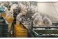 食の宝庫九州の名産品を全国へお届けいたします。
旬の食材、信頼できる工場の質の良いものだけをご提案します。