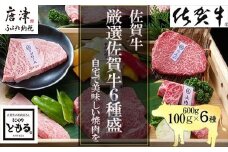 【8月中の発送】佐賀牛希少部位100g×6種類(合計600g) にくのともる厳選 焼肉用 A5～A4等級 食べ比べ ギフト キャンプ
