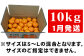 たっぷり10kgお届け!  濃厚な甘みの
私たちの自慢のみかんをぜひ一度ご賞味ください。