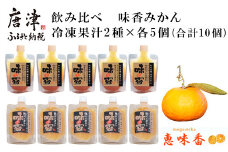 飲み比べ 冷凍果汁2種×各5個(合計10個) 味香みかん 柑橘 ジュース 飲料 ミカン ストレート フルーツ 詰合せ