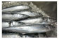玄界灘でとれた極上の鯖を使用。
豊かな漁場から新鮮で活きの良い魚を仕入れております。