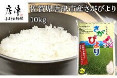 『先行予約』【令和6年産】佐賀県唐津市産さがびより 10kg 米の食味ランキング最高ランクの特A評価 冷めても美味しいのでお弁当やおにぎりに最適なお米