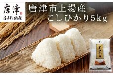 『先行予約』【令和6年産】佐賀県唐津市上場産こしひかり 5kg つやと張りがあり、粘りが強い甘みのあるお米 精米したてをお届け