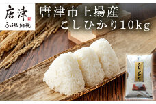 『先行予約』【令和6年産】佐賀県唐津市上場産こしひかり 10kg つやと張りがあり、粘りが強い甘みのあるお米 精米したてをお届け
