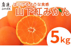 『先行予約』【令和7年11月発送】山下紅みかん(ハウス栽培)唐津産 5kg ミカン 蜜柑 果物 フルーツ