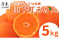 予約受付! 山下紅みかん 5kg
名前の通り真っ赤な紅色。
店先には滅多に出てこない 大変希少な山下紅みかんです。
