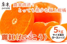 『先行予約』【令和8年1月下旬発送】麗紅(れいこう）ハウス栽培 唐津産 5kg 混合サイズ みかん 蜜柑 柑橘 果物 フルーツ