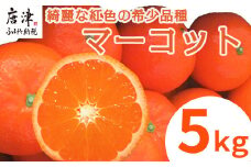 『先行予約』【令和8年2月中旬発送】マーコット（ハウス栽培）唐津産 5kg みかん ミカン 果物 フルーツ
