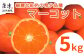 希少! 予約受付! 糖度が高い希少品種 マーコット。
たっぷり5㎏お届けいたします。