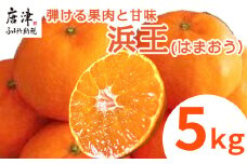 『先行予約』【令和8年1月下旬発送】浜王(はまおう) ハウス栽培 唐津産 5kg 口之津(くちのつ) 39号みかん フルーツ 果物 柑橘 かんきつ