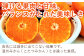 プチプチと弾ける実。
温州みかん(こたつみかん)とは違った食感。