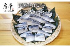 天然さば切身 切身2枚×5袋(計400g)＆天然さばフィレ フィレ2枚×3袋 (計600g) 総量1kg 「2024年 令和6年」