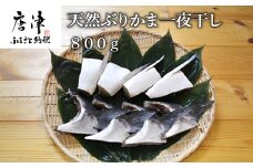 天然ぶりかま一夜干し ハーフ2食×4袋(合計800g) おかず おつまみ 「2024年 令和6年」