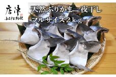 天然ぶりかま一夜干し フルサイズ1食200g×10袋(合計2㎏) おかず おつまみ 「2024年 令和6年」
