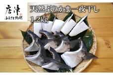 天然ぶりかま一夜干し ハーフ2食×5袋 計1kg ・フル1食×1袋 計200g(合計1.2㎏) おかず おつまみ 「2024年 令和6年」