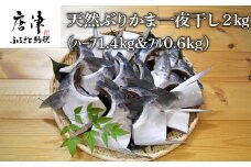 天然ぶりかま一夜干し ハーフ2食×7袋 計1.4kg・フル1食×3袋 計600g(合計2㎏) おかず おつまみ 「2024年 令和6年」