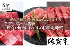 定期便全3回」 佐賀牛 BBQや焼肉好きな方におすすめ 寄附翌月から発送 6種盛360g モモブロック800g ヒレ300g (合計1.46kg) A5～A4等級 ギフト 贈り物 アウトドア