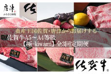 「定期便全3回」 佐賀牛 極-kiwami- 寄附翌月から発送 ステーキ各種(2.35kg) ももスライス(400g) A5～A4等級 ギフト 贈り物
