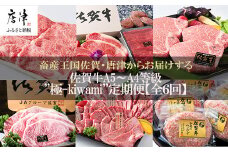 「定期便全6回」 佐賀牛 極-kiwami- 寄附翌月から発送 A5～A4等級 ギフト 贈り物
