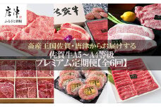 「定期便全6回」 佐賀牛 プレミアム定期便 寄附翌月から発送 A5～A4等級 ギフト 贈り物