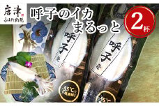 呼子のイカまるっと2杯 瞬間冷凍の旨さを呼子発でお届け 海鮮 スルメイカ 新鮮松いか