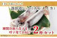 新鮮松イカ(スルメイカ)の姿造りを瞬間凍結しご家庭にお届けします。